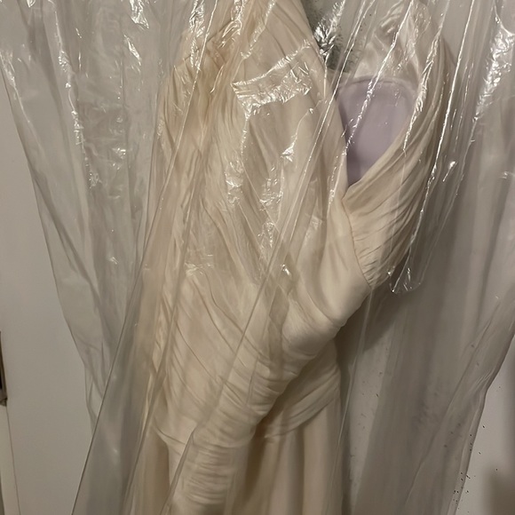 Raw silk vineyard collection wedding gown ivory - Picture 10 of 16